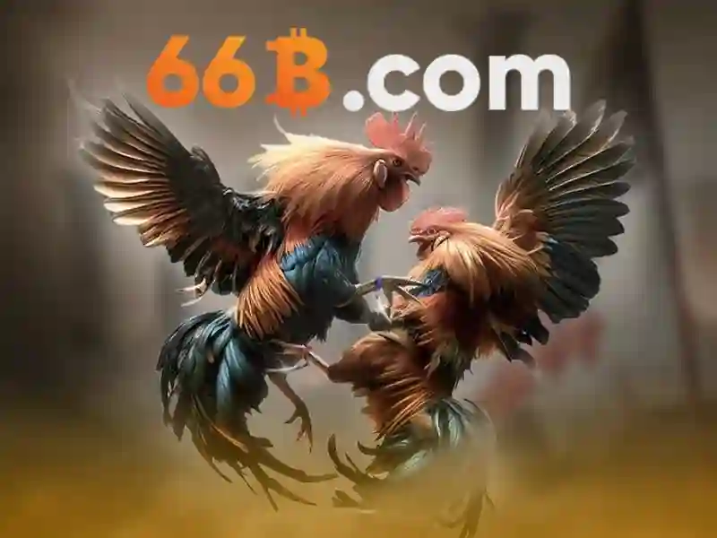 66b – Sàn cược trực tuyến uy tín tại Việt Nam