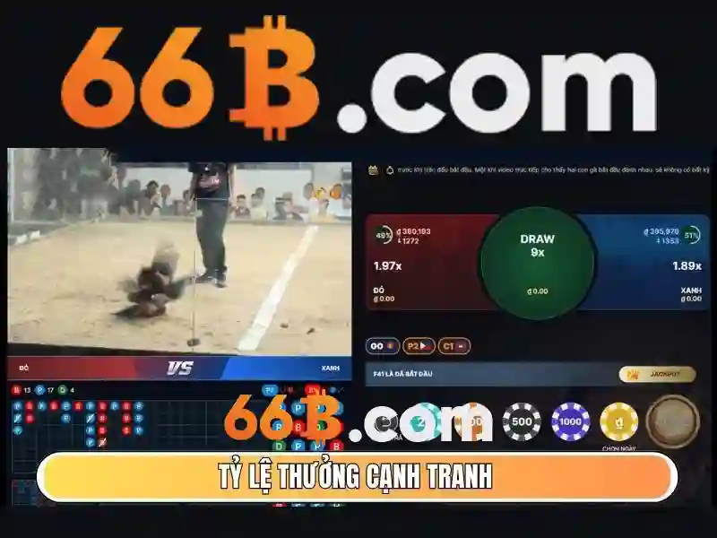 66b – Sàn cược trực tuyến uy tín tại Việt Nam