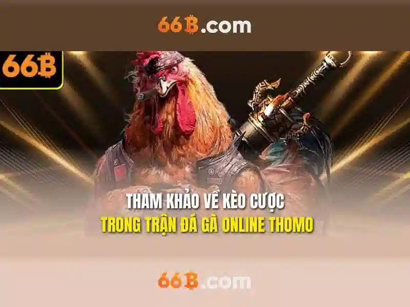 66b – Sàn cược trực tuyến uy tín tại Việt Nam