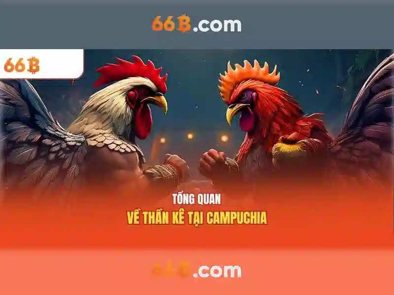  nhận thưởng hấp dẫn - 66B