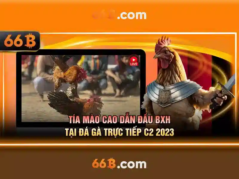 casino trực tuyến - 66B