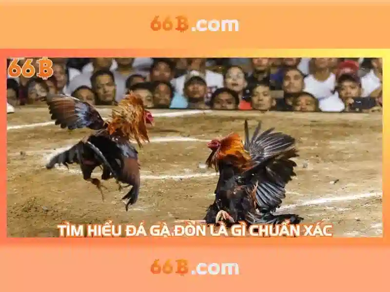 66B – Trải Nghiệm Slot Mậu Binh Đỉnh Cao - 66B