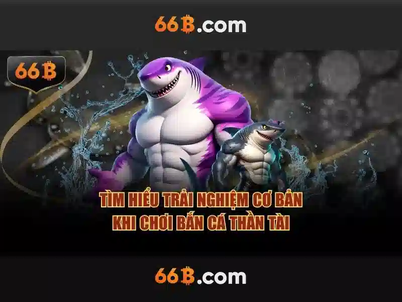 66b – Sàn cược trực tuyến uy tín tại Việt Nam