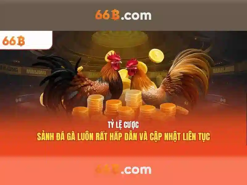 66B - 66B
