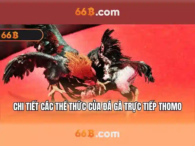  phần thưởng Slot - 66B