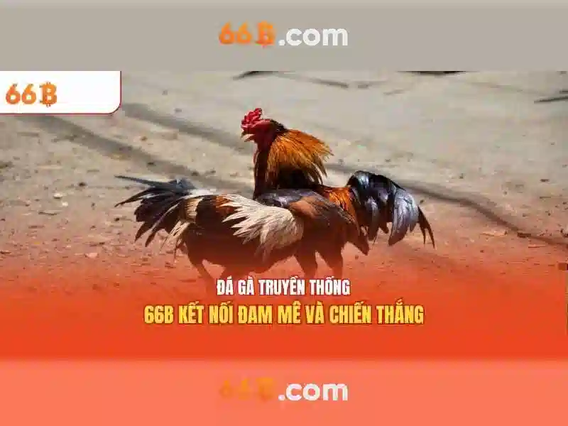 trò chơi slot - 66B