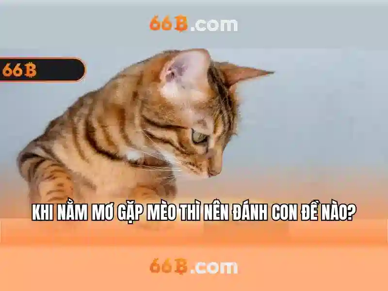 thẻ cào 66B - 66B