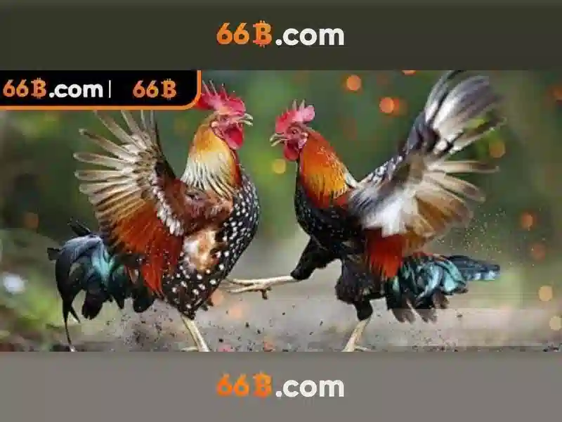 66B – Trải Nghiệm Phỏm 66B Đỉnh Cao Trong Ngành Slot - 66B
