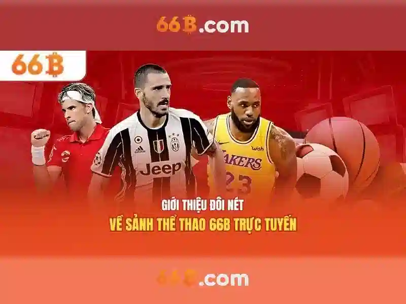 66b chính thức - 66B