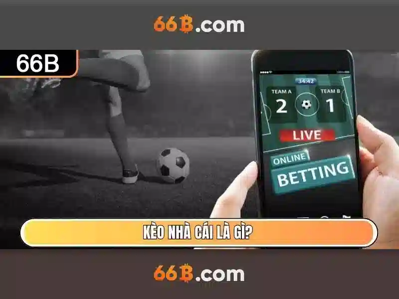  hỗ trợ trực tuyến 66b - 66B