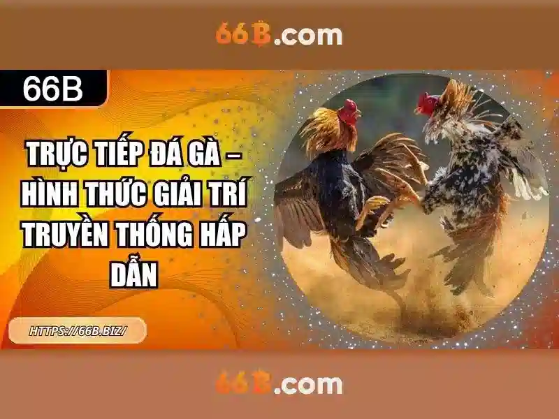 khuyến mãi 66B - 66B