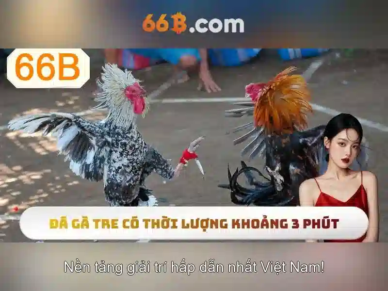  Slot - 66B