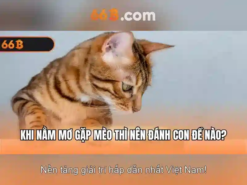  cá cược thể thao - 66B