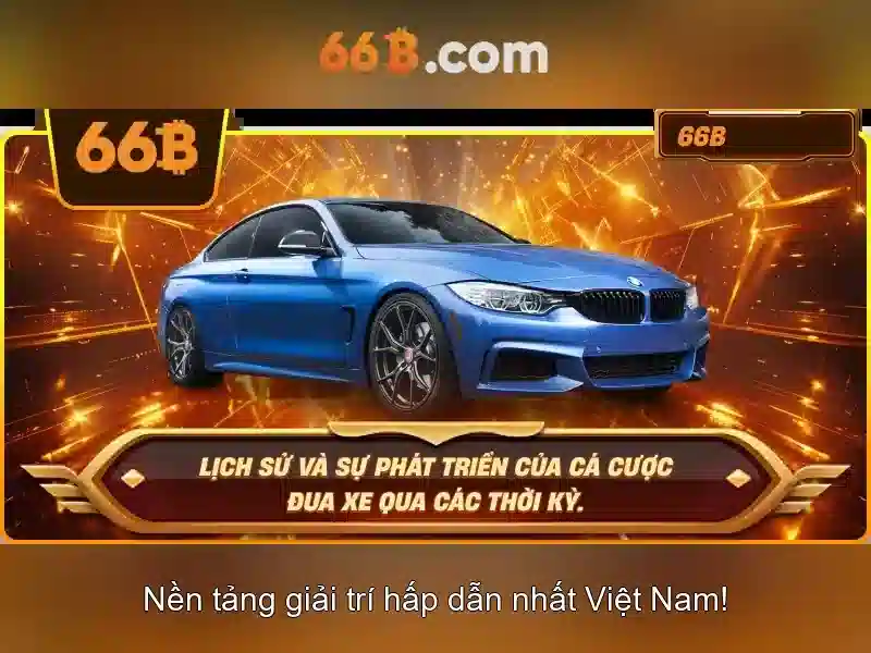 giấy phép hoạt động - 66B