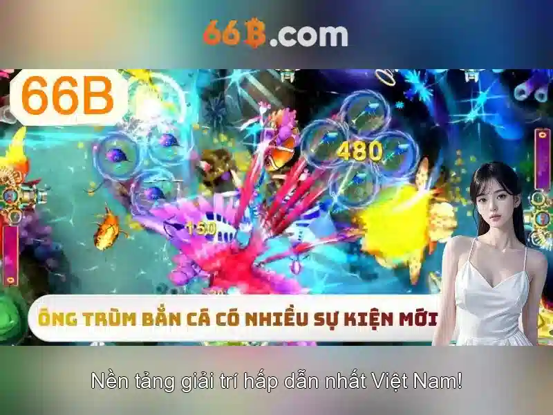 66B - 66B