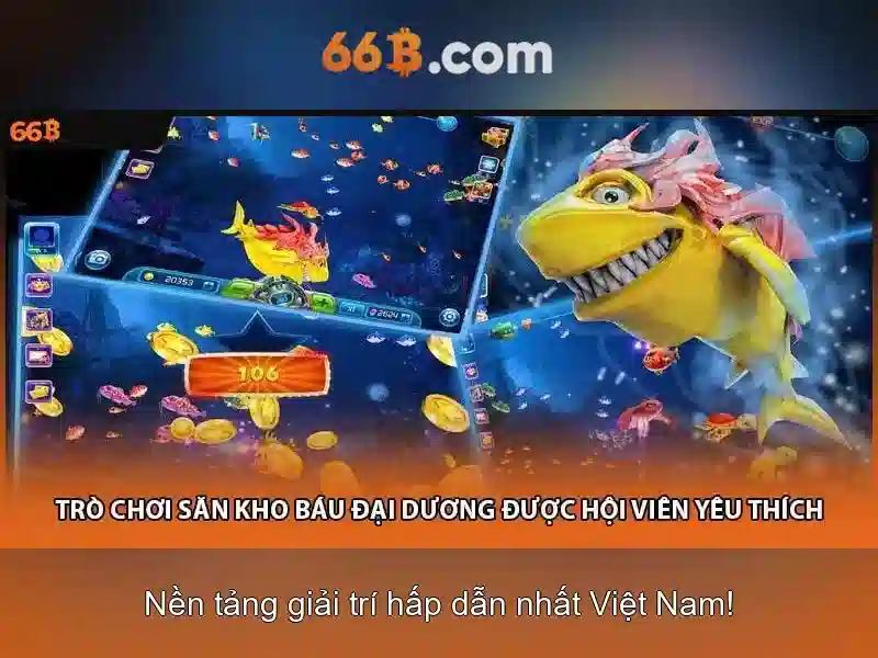 điều khoản sử dụng 66B - 66B
