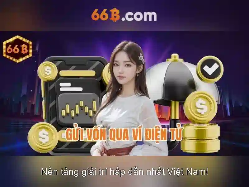  điều khoản điều kiện - 66B