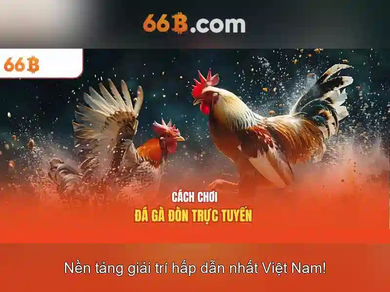 66B – Trang Chủ 66b Uy Tín Cho Người Chơi Slot 2026 - 66B