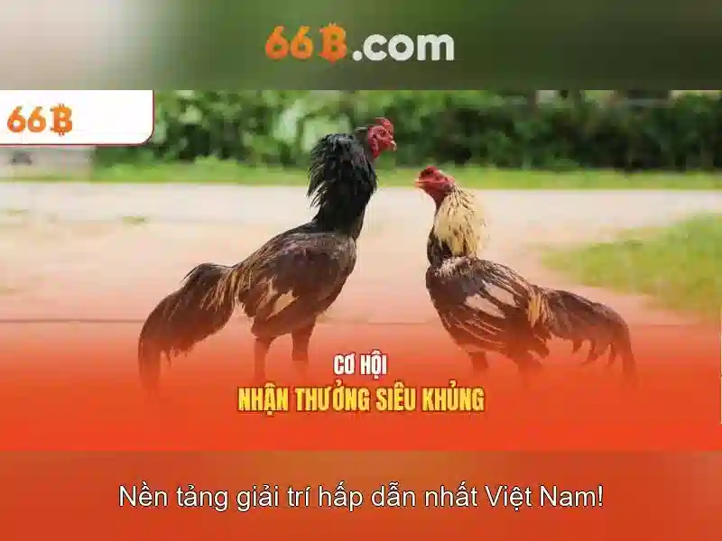 66b – Sàn cược trực tuyến uy tín tại Việt Nam