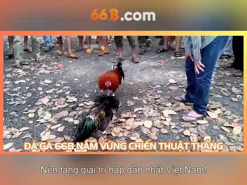 66b – Sàn cược trực tuyến uy tín tại Việt Nam