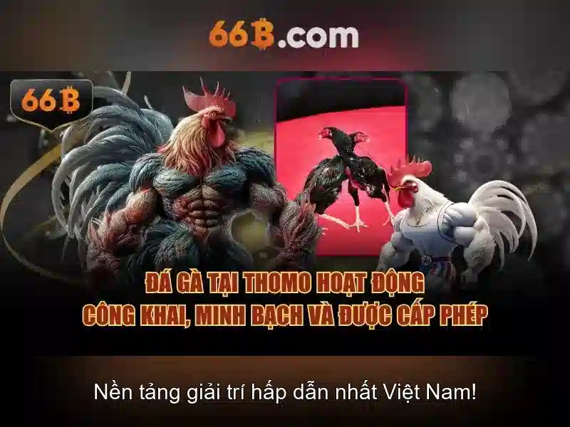  hỗ trợ slot - 66B
