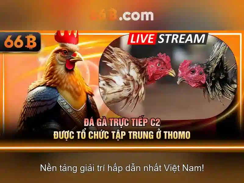  trò chơi slot - 66B