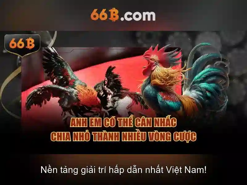  game bài trí tuệ - 66B