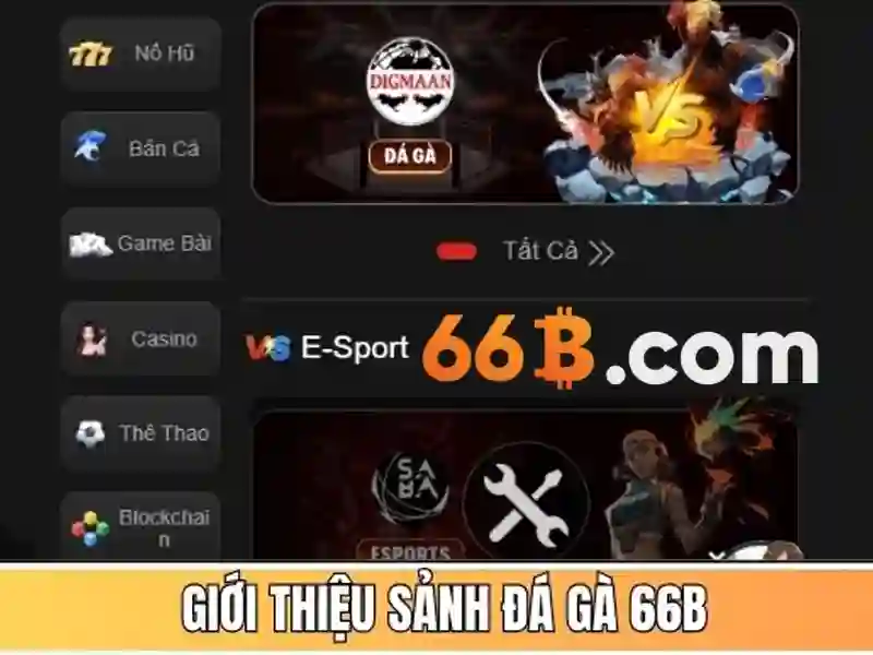 Quyền Riêng Tư | Bảo Vệ Thông Tin Người Chơi Tại 66B - 66B