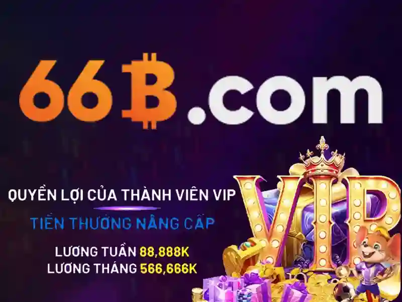 chính sách bảo mật 66B - 66B
